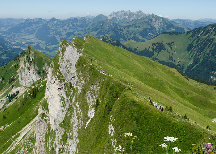 Phulara ridge during summers